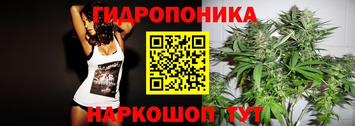 Сокол  Каннабис сатива  МАРИХУАНА White Widow  Канабис Amnesia  Вход с VPN 